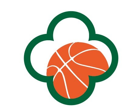 logo basketball color