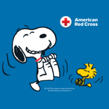 Blood drive